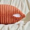 Set of 2 Burnt Orange Fall Decorative Throw Pillow Covers 20x20 Inch